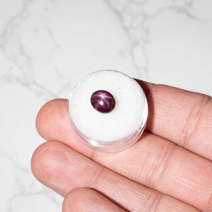 Star Ruby 5.80 ct 10x8mm - InnerVision Crystals