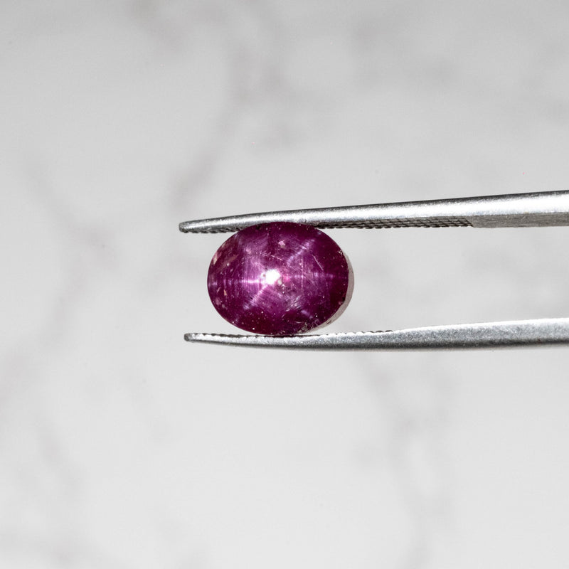Star Ruby 6.10 ct 9x7mm - InnerVision Crystals