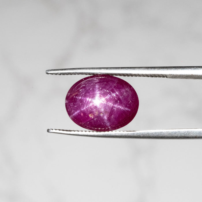 Star Ruby 6.40 ct 12x9mm - InnerVision Crystals