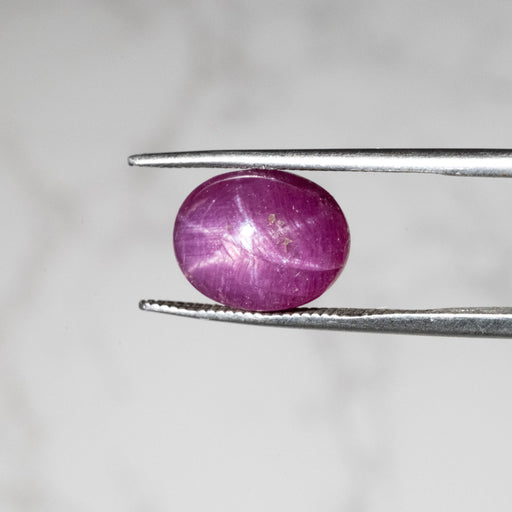 Star Ruby 6.90 ct 11x8mm - InnerVision Crystals