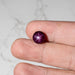 Star Ruby 8.70 ct 10.50mm - InnerVision Crystals