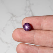 Star Ruby 8.90 ct 10x9mm - InnerVision Crystals