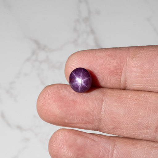 Star Ruby 8.90 ct 10x9mm - InnerVision Crystals
