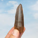 Tangerine Lemurian Seed Quartz Crystal 45 g 70x24mm - InnerVision Crystals