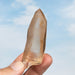 Tangerine Lemurian Seed Quartz Crystal 47 g 75x27mm - InnerVision Crystals