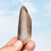 Tangerine Lemurian Seed Quartz Crystal 49 g 75x26mm - InnerVision Crystals
