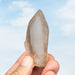 Tangerine Lemurian Seed Quartz Crystal 56 g 74x33mm - InnerVision Crystals