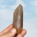 Tangerine Lemurian Seed Quartz Crystal 99 g 90x33mm - InnerVision Crystals