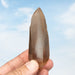 Tangerine Lemurian Seed Quartz Crystal *DT 100 g 95x33mm - InnerVision Crystals