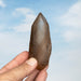 Tangerine Lemurian Seed Quartz Crystal *DT 140 g 197x43 - InnerVision Crystals