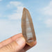 Tangerine Lemurian Seed Quartz Crystal *DT 37 g 71x23mm - InnerVision Crystals