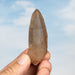 Tangerine Lemurian Seed Quartz Crystal *DT 46 g 71x25mm - InnerVision Crystals