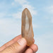 Tangerine Lemurian Seed Quartz Crystal *DT 50 g 81x25mm - InnerVision Crystals