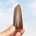 Tangerine Lemurian Seed Quartz Crystal *DT 82 g 85x34mm - InnerVision Crystals