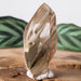 Amphibole | Angel Phantom Quartz 23.01 g 50x22mm - InnerVision Crystals