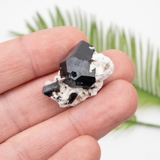 Black Tourmaline 10 g 20x30mm - InnerVision Crystals
