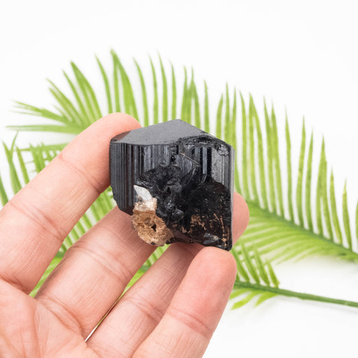 Black Tourmaline 100 g 41x40mm - InnerVision Crystals