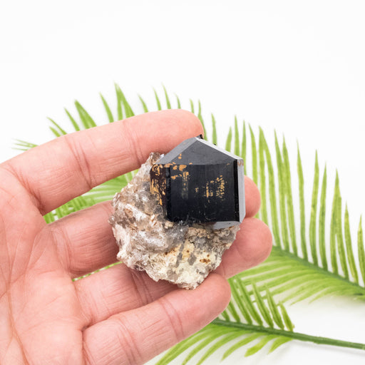 Black Tourmaline 100 g 53x46mm - InnerVision Crystals