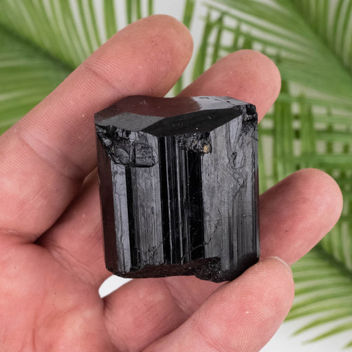 Black Tourmaline 106 g 42x38mm - InnerVision Crystals