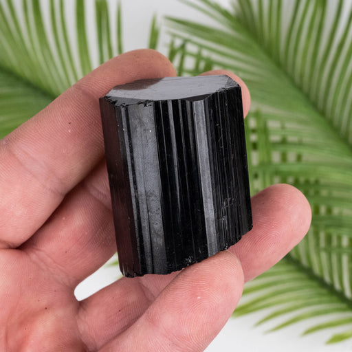 Black Tourmaline 106 g 47x35mm - InnerVision Crystals