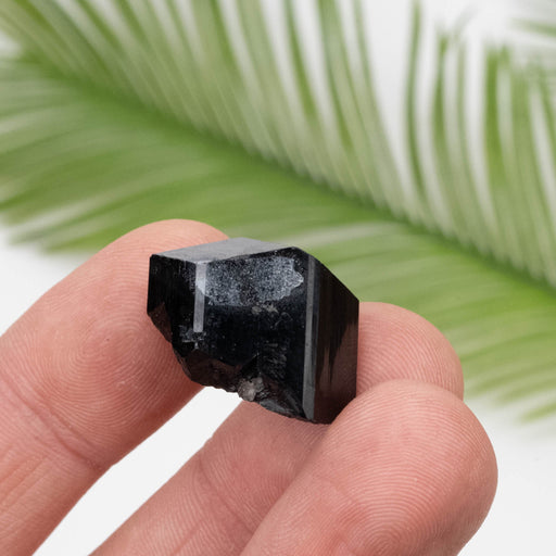 Black Tourmaline 10.70 g 20x18mm - InnerVision Crystals