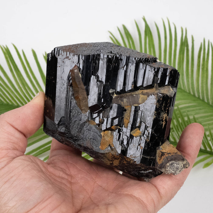 Black Tourmaline 1090 g / 2.2+ lbs 94x90mm + Smoky Quartz - InnerVision Crystals