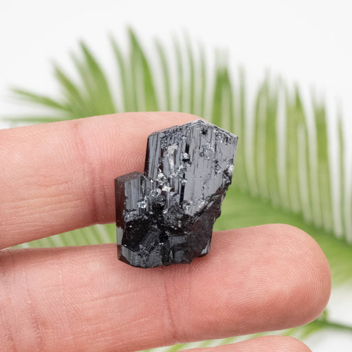 Black Tourmaline 10.97 g 26x18mm - InnerVision Crystals