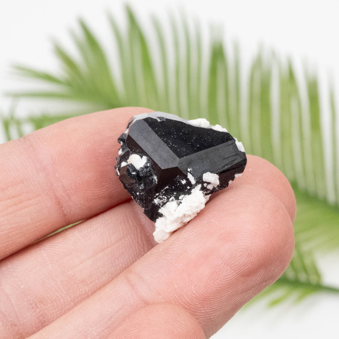 Black Tourmaline 11.73 g 20x23mm - InnerVision Crystals