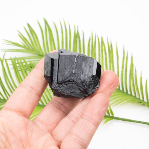 Black Tourmaline 118 g 40x48mm - InnerVision Crystals