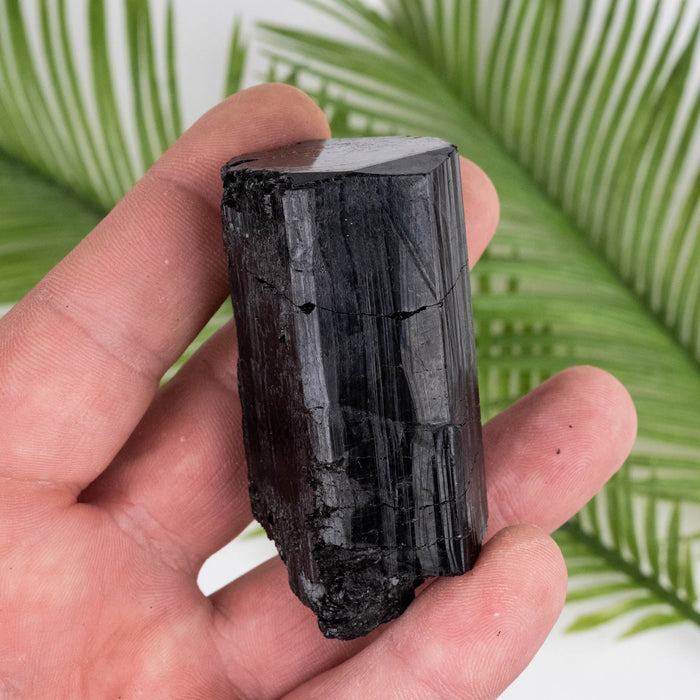 Black Tourmaline 120 g 65x33mm - InnerVision Crystals