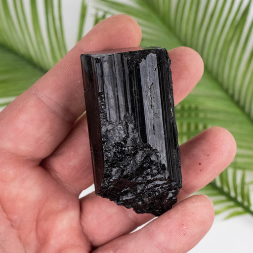 Black Tourmaline 120 g 65x33mm - InnerVision Crystals