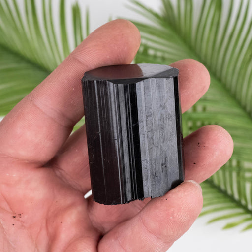 Black Tourmaline 122 g 50x35mm - InnerVision Crystals