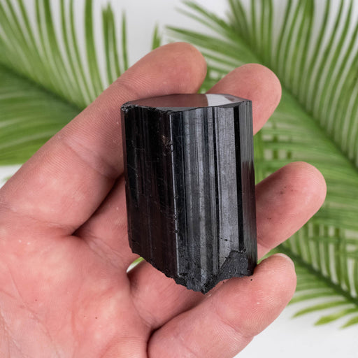 Black Tourmaline 122 g 50x35mm - InnerVision Crystals