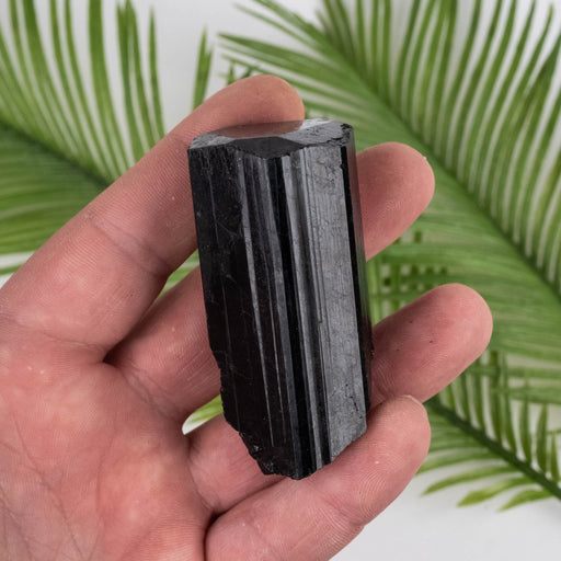 Black Tourmaline 124 g 66x30mm - InnerVision Crystals