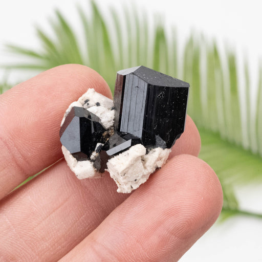 Black Tourmaline 12.70 g 25x25mm - InnerVision Crystals