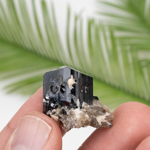 Black Tourmaline 13.29 g 22x25mm - InnerVision Crystals
