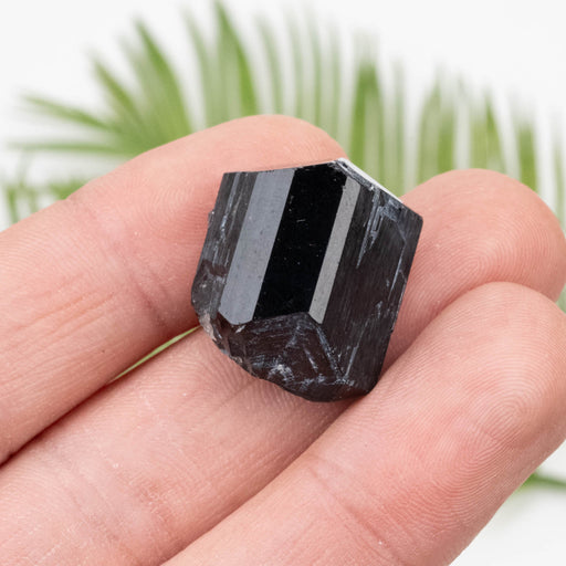 Black Tourmaline 13.35 g 23x18mm - InnerVision Crystals