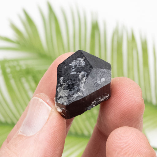 Black Tourmaline 13.65 g 21x21mm - InnerVision Crystals