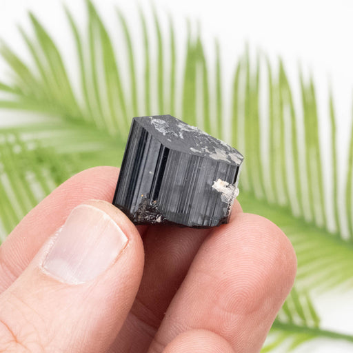 Black Tourmaline 13.65 g 21x21mm - InnerVision Crystals