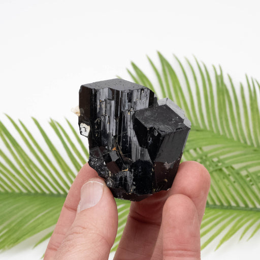 Black Tourmaline 138 g 55x32mm - InnerVision Crystals