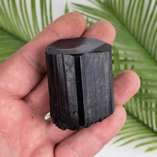 Black Tourmaline 141 g 52x39mm - InnerVision Crystals