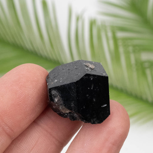 Black Tourmaline 14.13 g 21x24mm - InnerVision Crystals