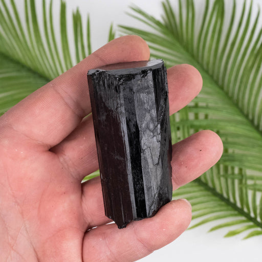 Black Tourmaline 142 g 67x35mm - InnerVision Crystals