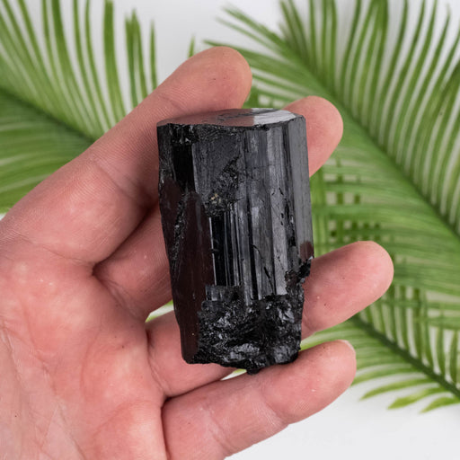 Black Tourmaline 142 g 67x35mm - InnerVision Crystals