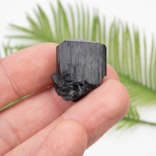 Black Tourmaline 14.33 g 26x22mm - InnerVision Crystals