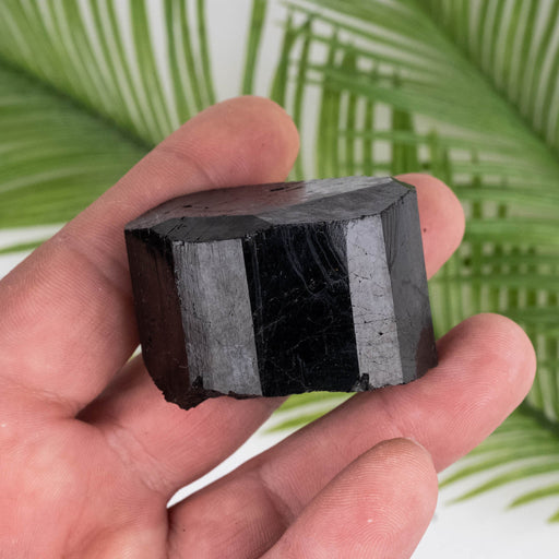Black Tourmaline 144 g 46x35mm - InnerVision Crystals