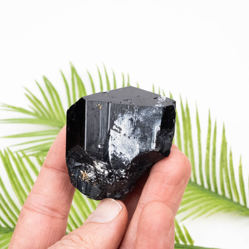 Black Tourmaline 152 g 52x46mm - InnerVision Crystals