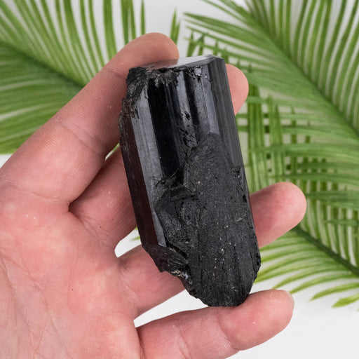 Black Tourmaline 171 g 81x36mm - InnerVision Crystals