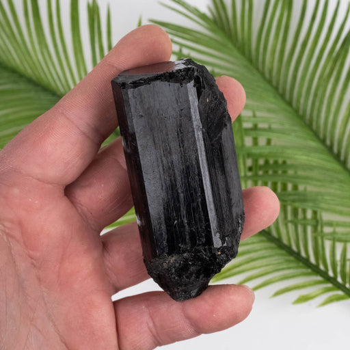 Black Tourmaline 171 g 81x36mm - InnerVision Crystals