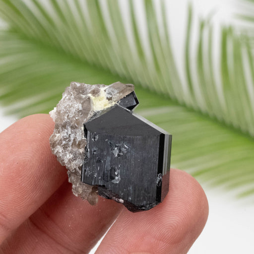 Black Tourmaline 18.47 g 27x27mm - InnerVision Crystals